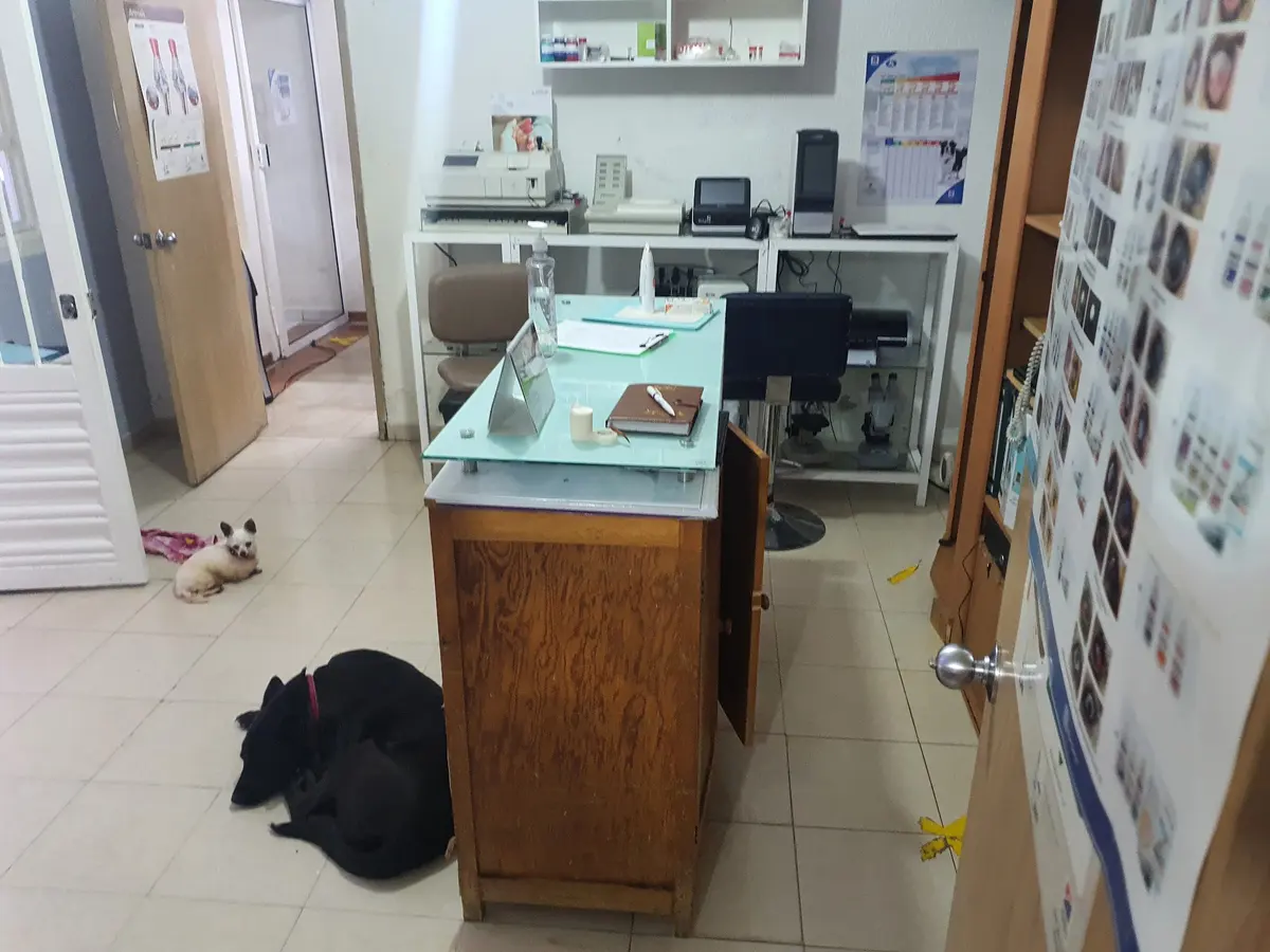 Hospital Veterinario Roms — foto 3 de 3