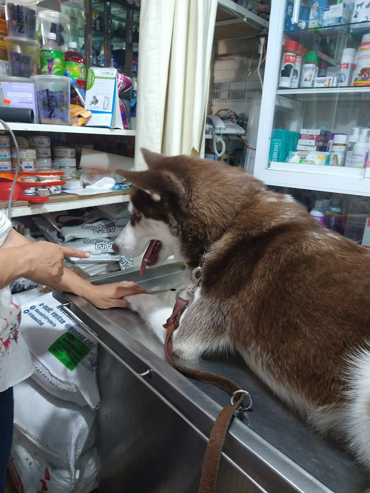 Veterinaria Scooby Doo