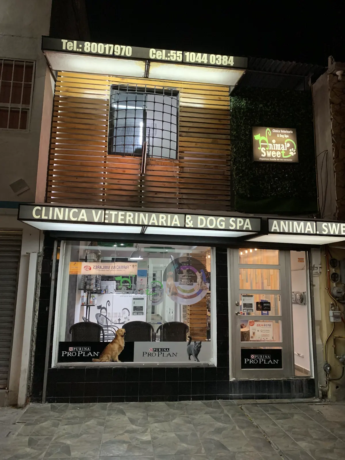 Animal Sweet (Clinica Veterinaria & Dog Spa) — foto 3 de 3