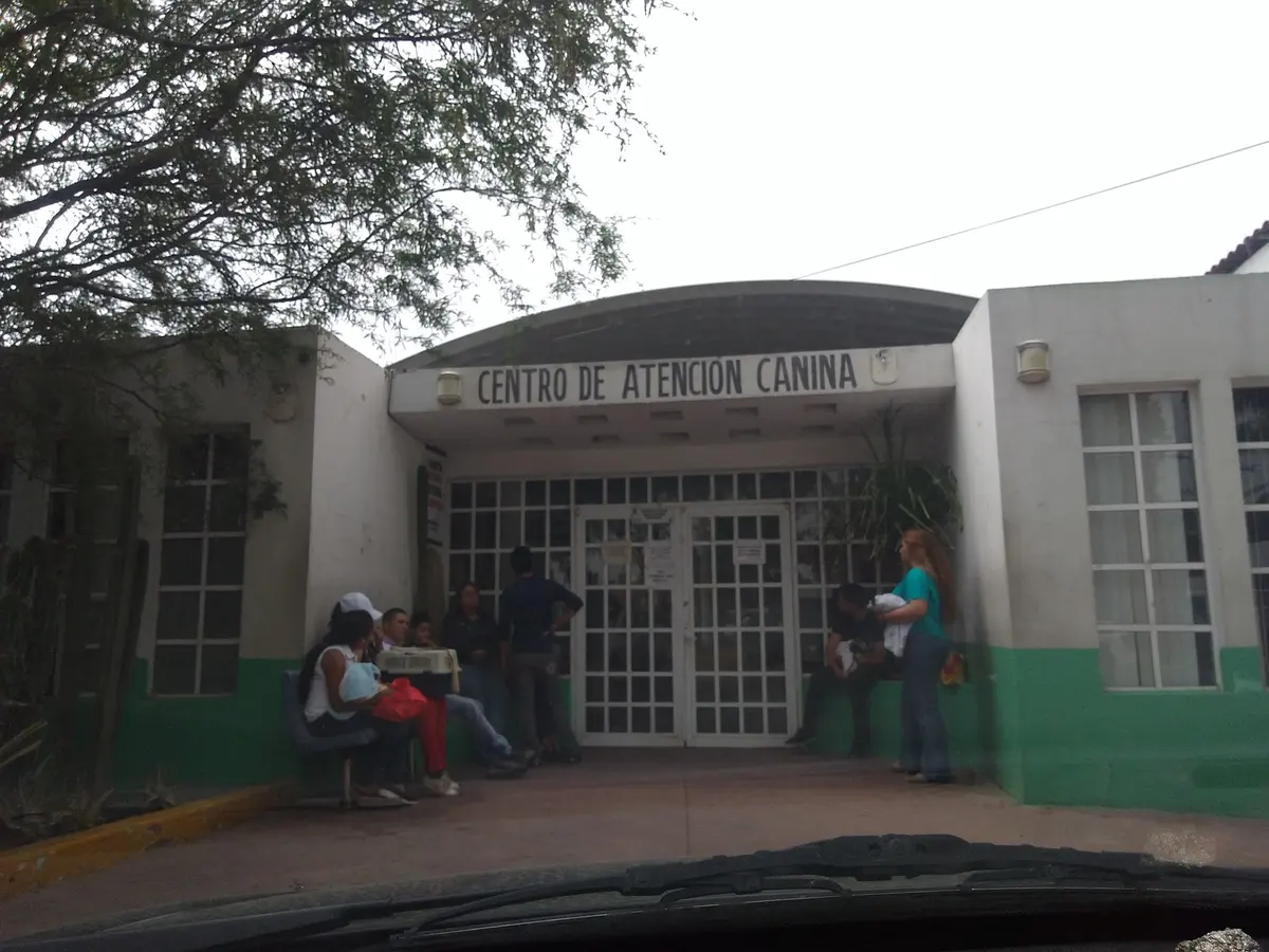 CENTRO DE ATENCION CANINA y FELINA DE ECATEPEC — foto 3 de 3