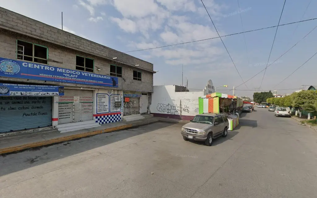 CENTRO MEDICO VETERINARIO OLAFF