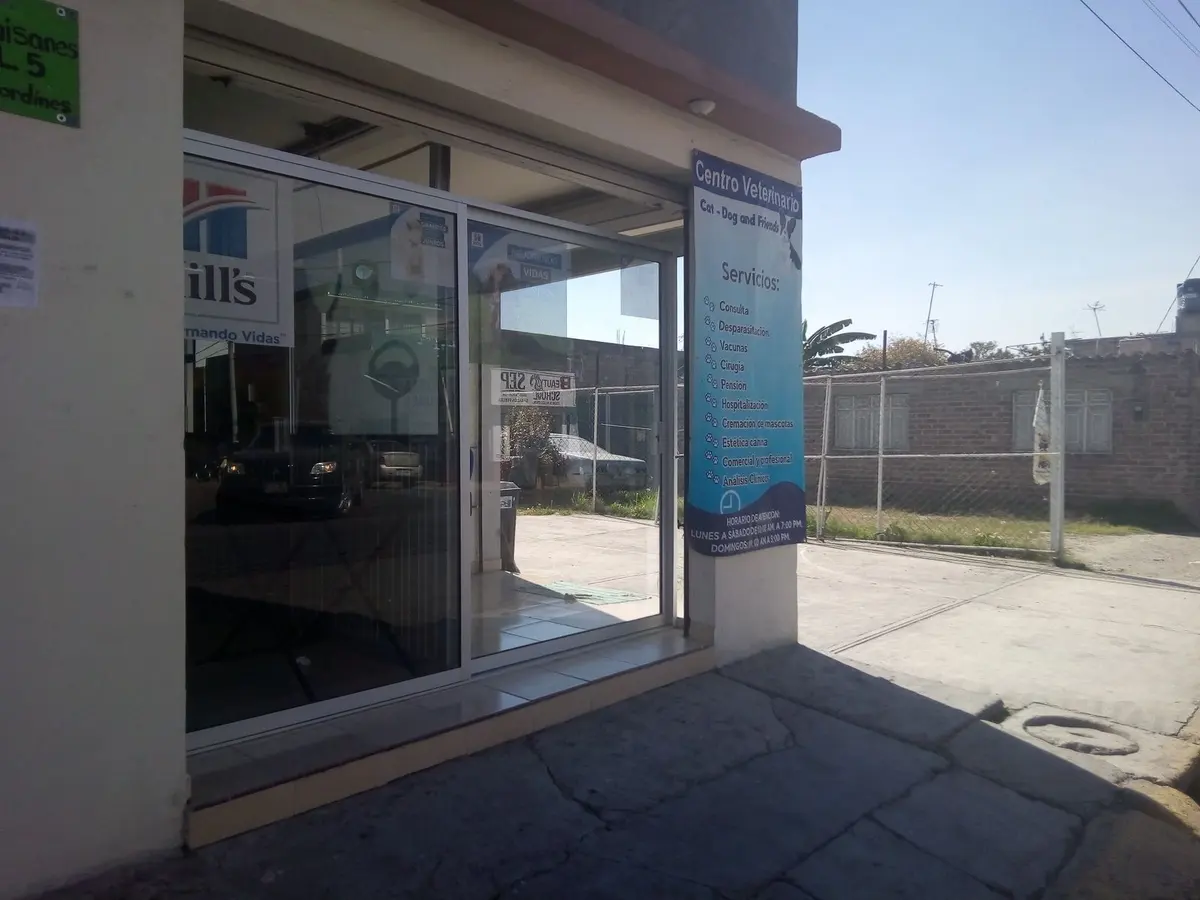 Centro veterinario Cat - Dog and friends — foto 2 de 3