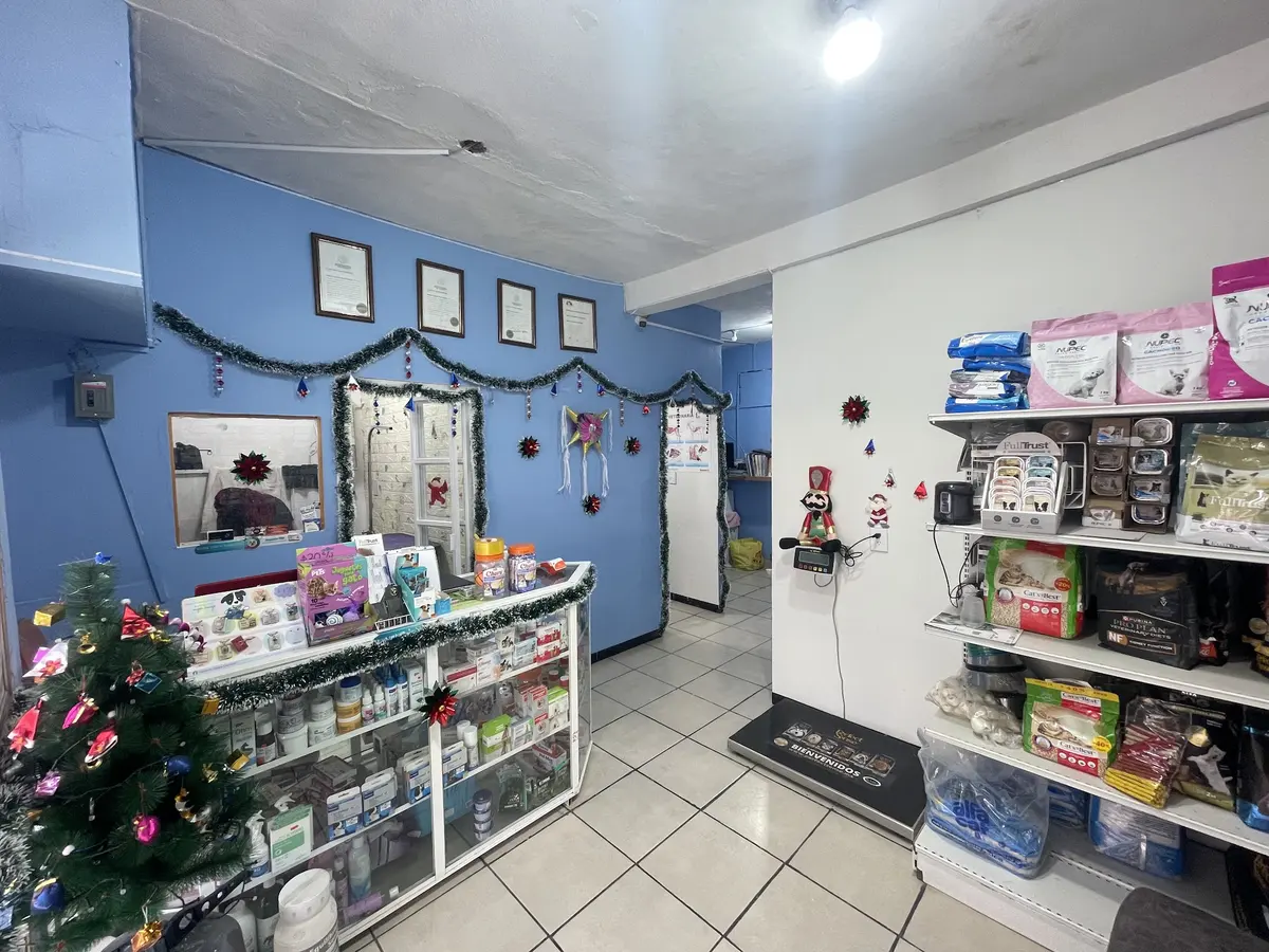 Centro Veterinario Coatitla — foto 3 de 3
