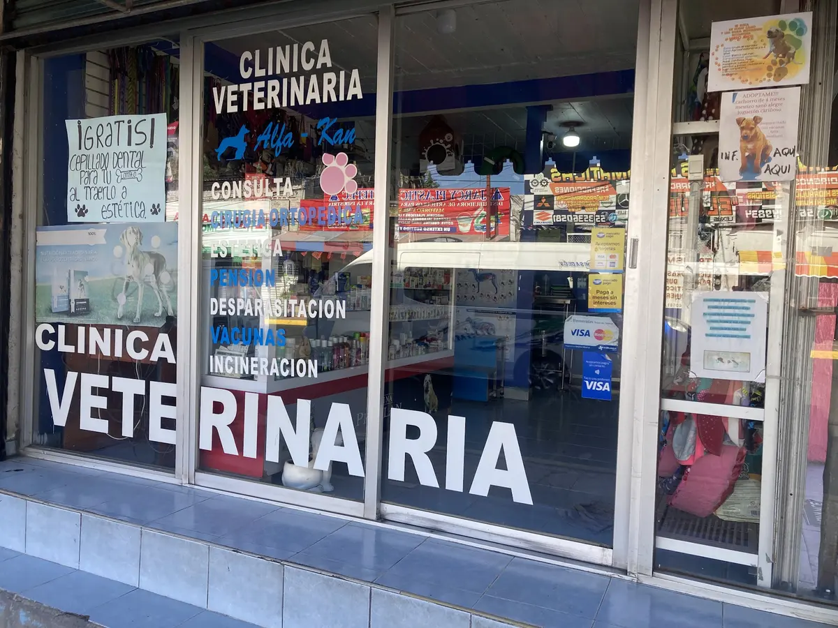 CLINICA VETERINARIA Alfa-Kan
