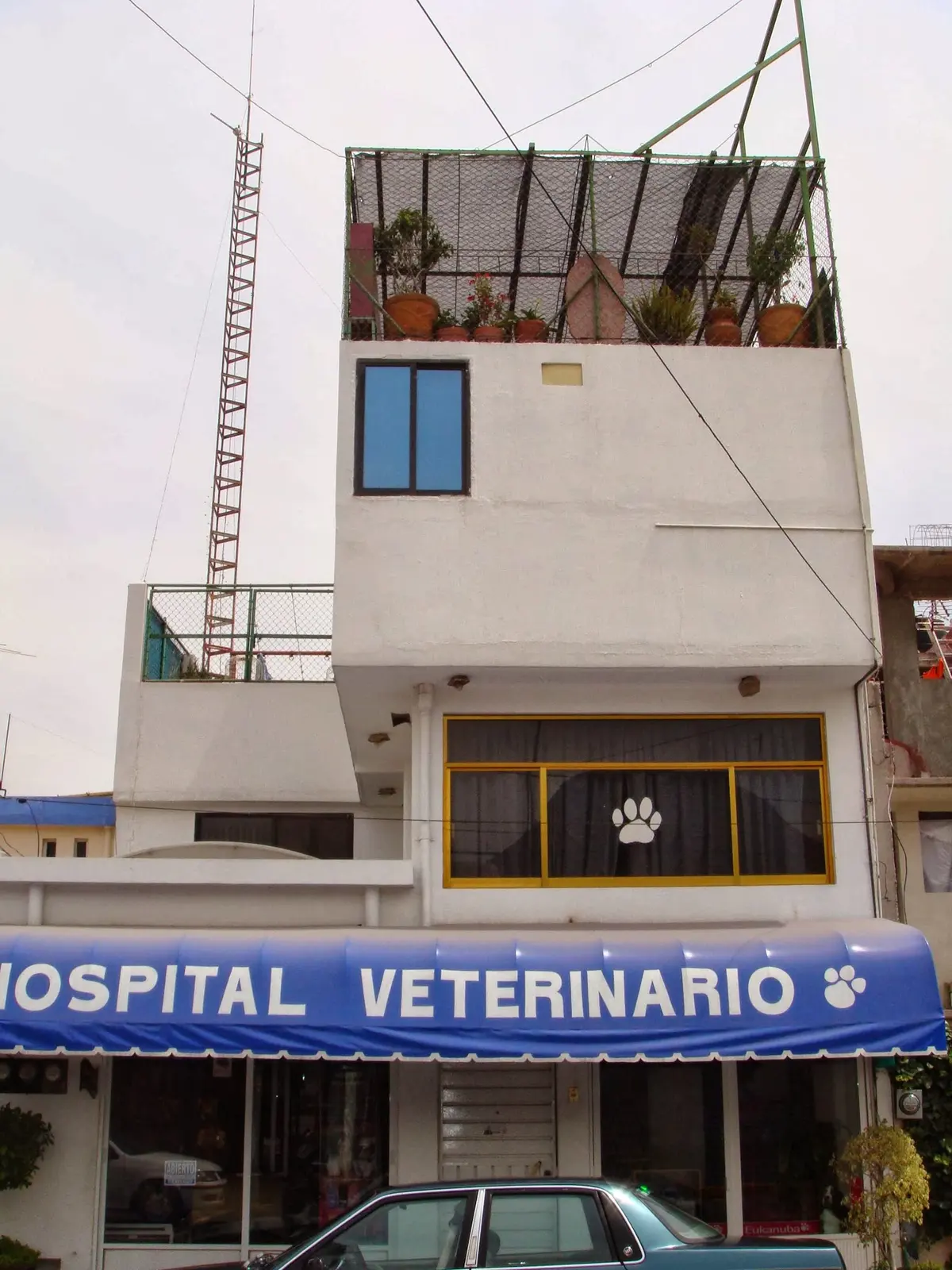 Clinica Veterinaria Dr. Raul Andrade