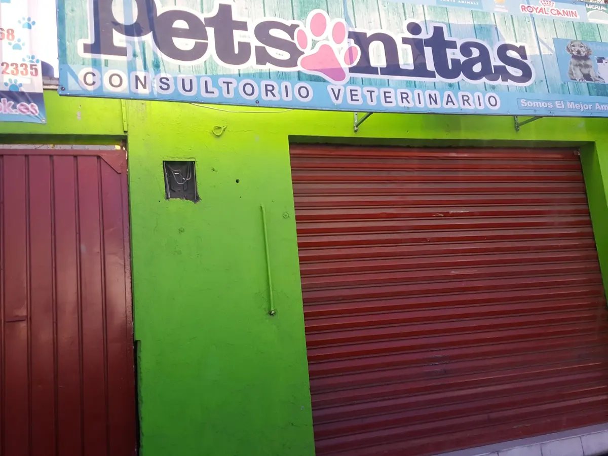 Clínica Veterinaria PETSBUK — foto 3 de 3