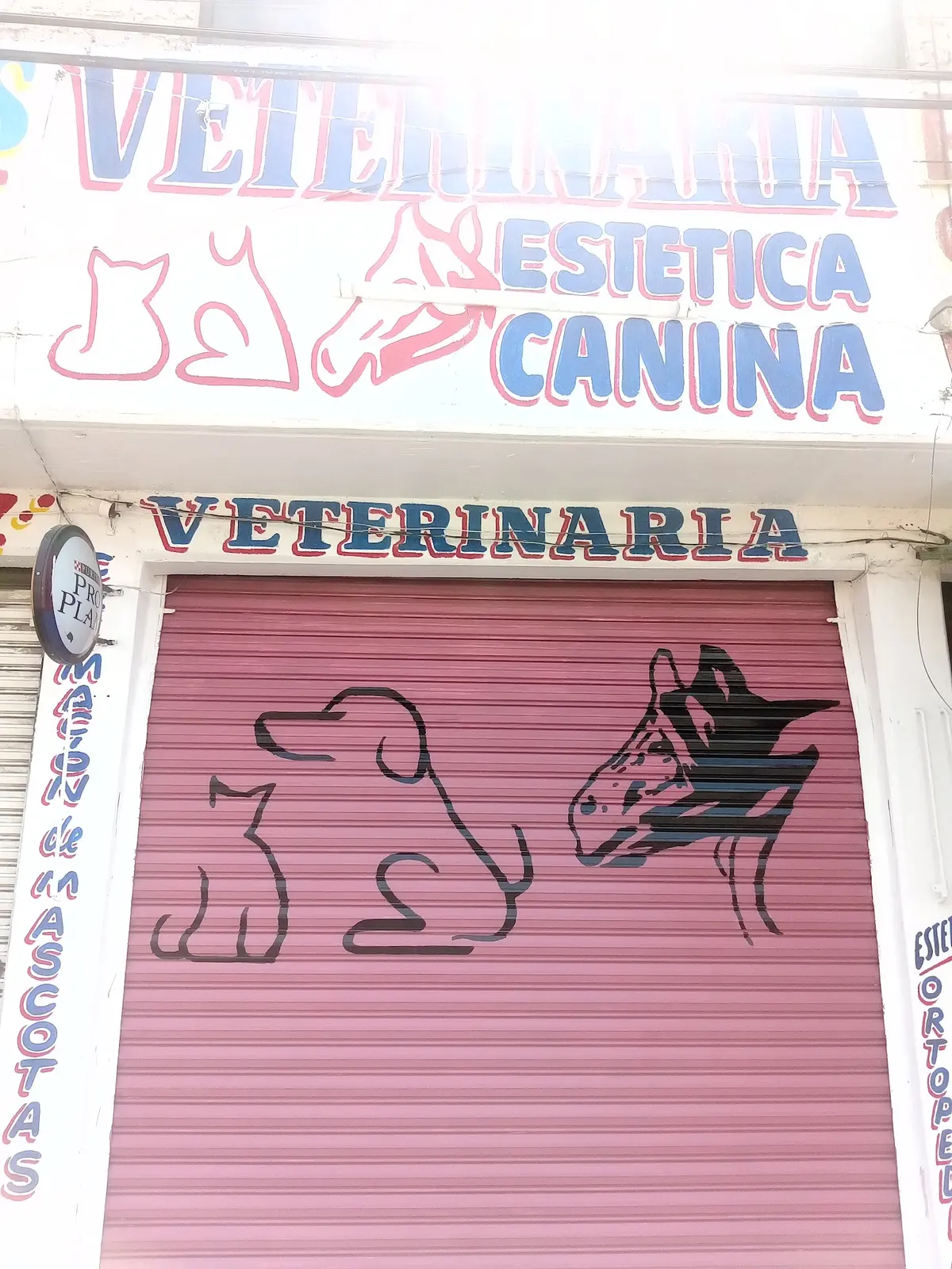 Clínica Veterinaria y Estética Canina, Veterinario Tras la huella