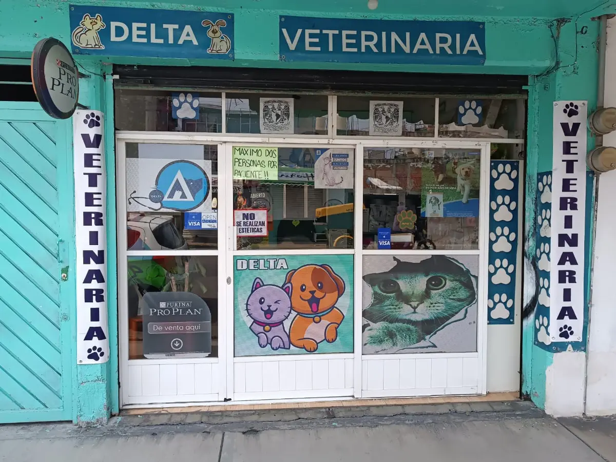 Delta Clínica Veterinaria — foto 2 de 2