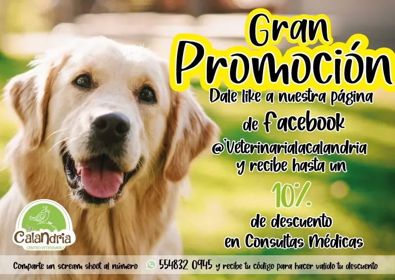 Farmacia y Veterinaria la calandria