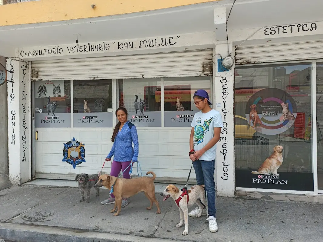 Veterinaria Kan Muluc