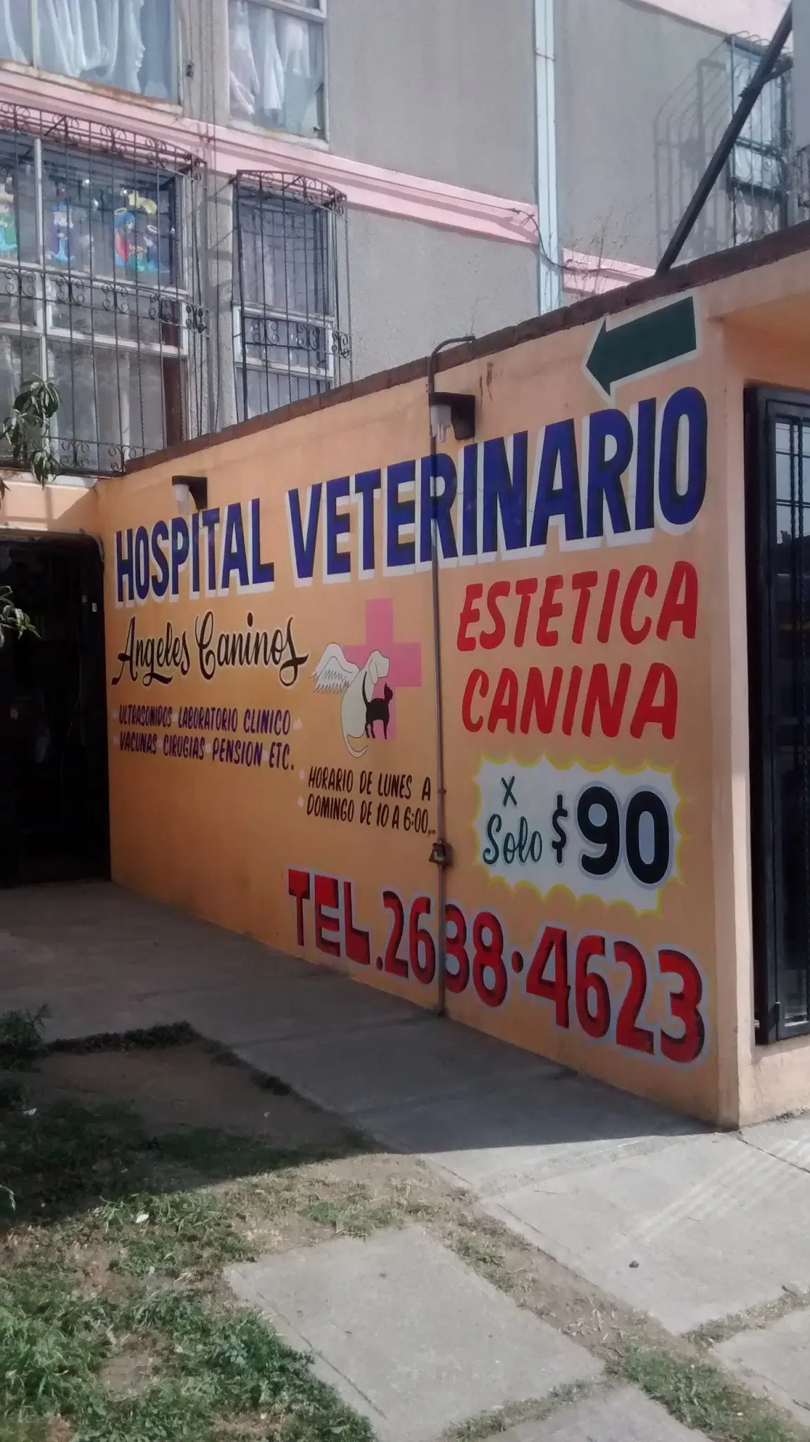 Angeles Caninos
