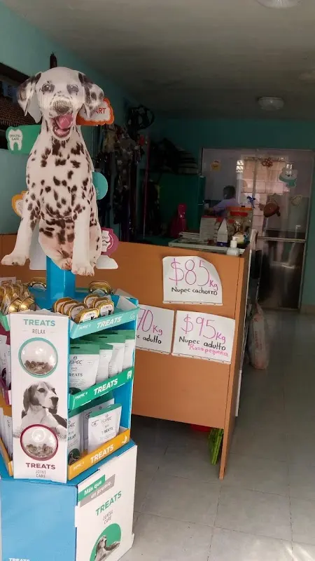 Clínica Veterinaria Animaliz