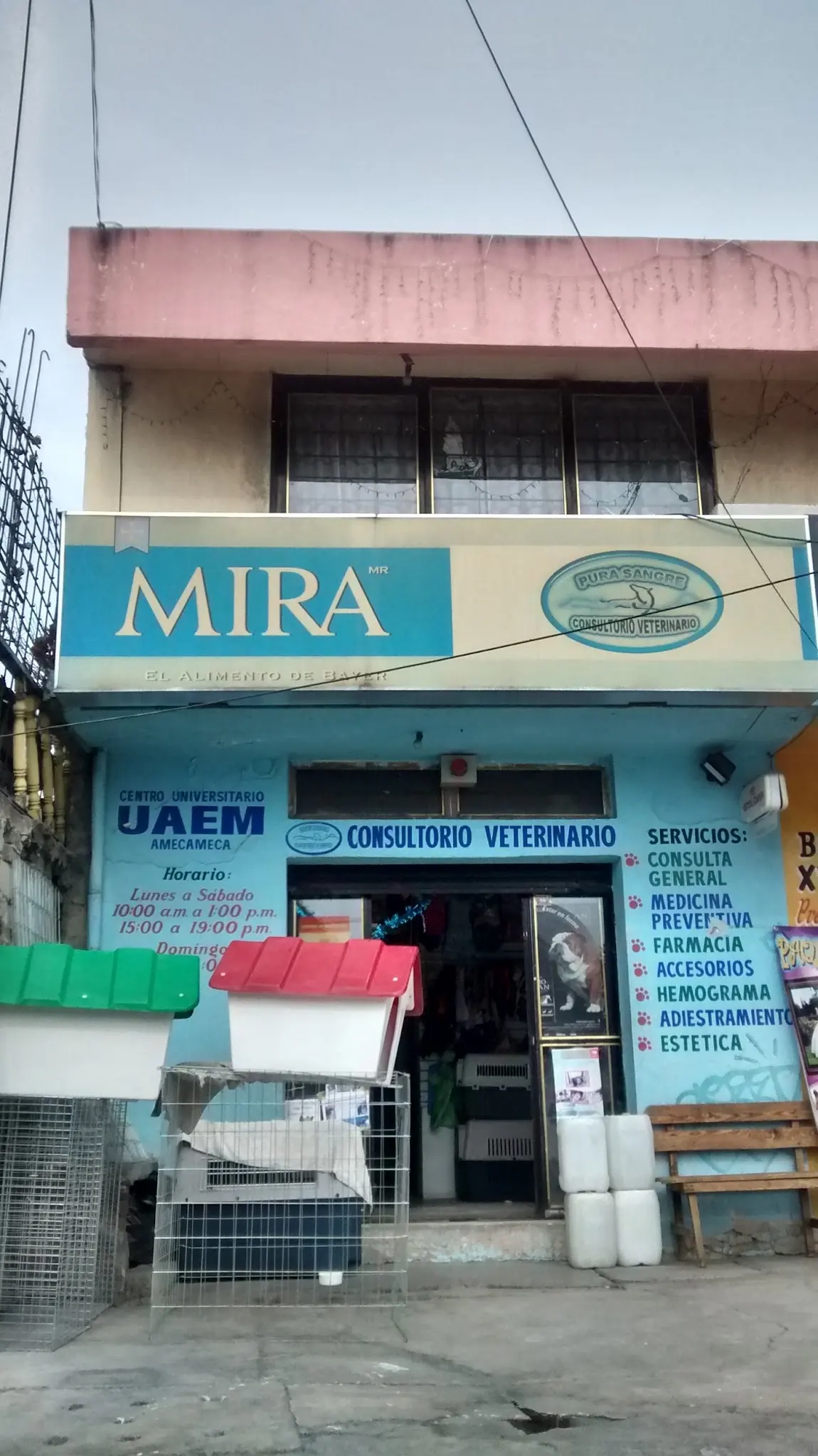 Clínica Veterinaria Pura Sangre
