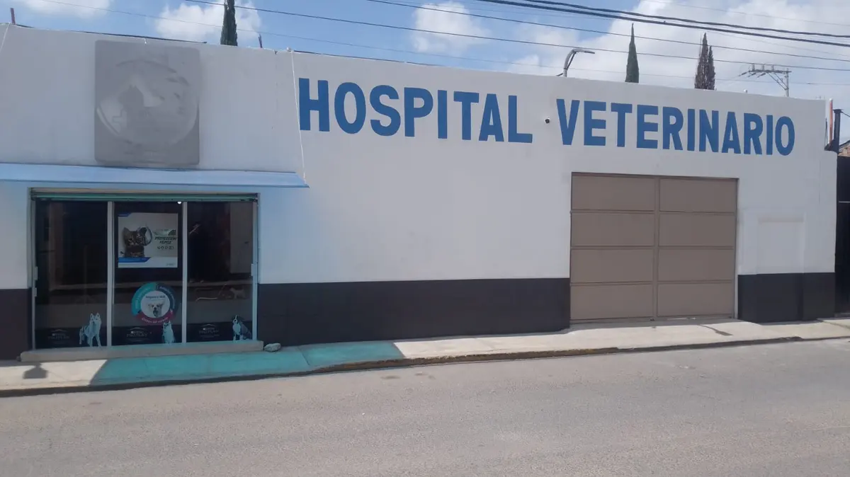 Hospital veterinario San Jacinto