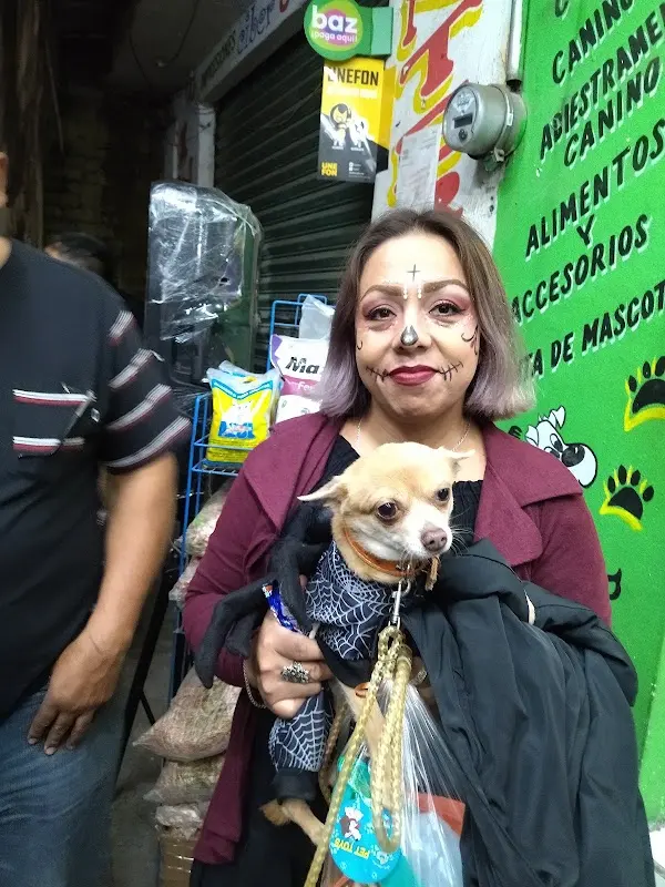 Las Mascotas Del Panda