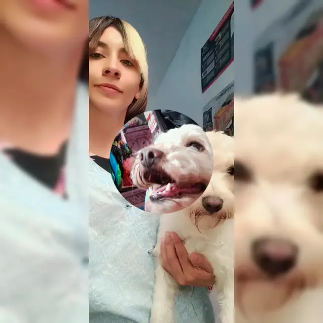 Clínica Veterinaria Juárez & Ventura — foto 2 de 3