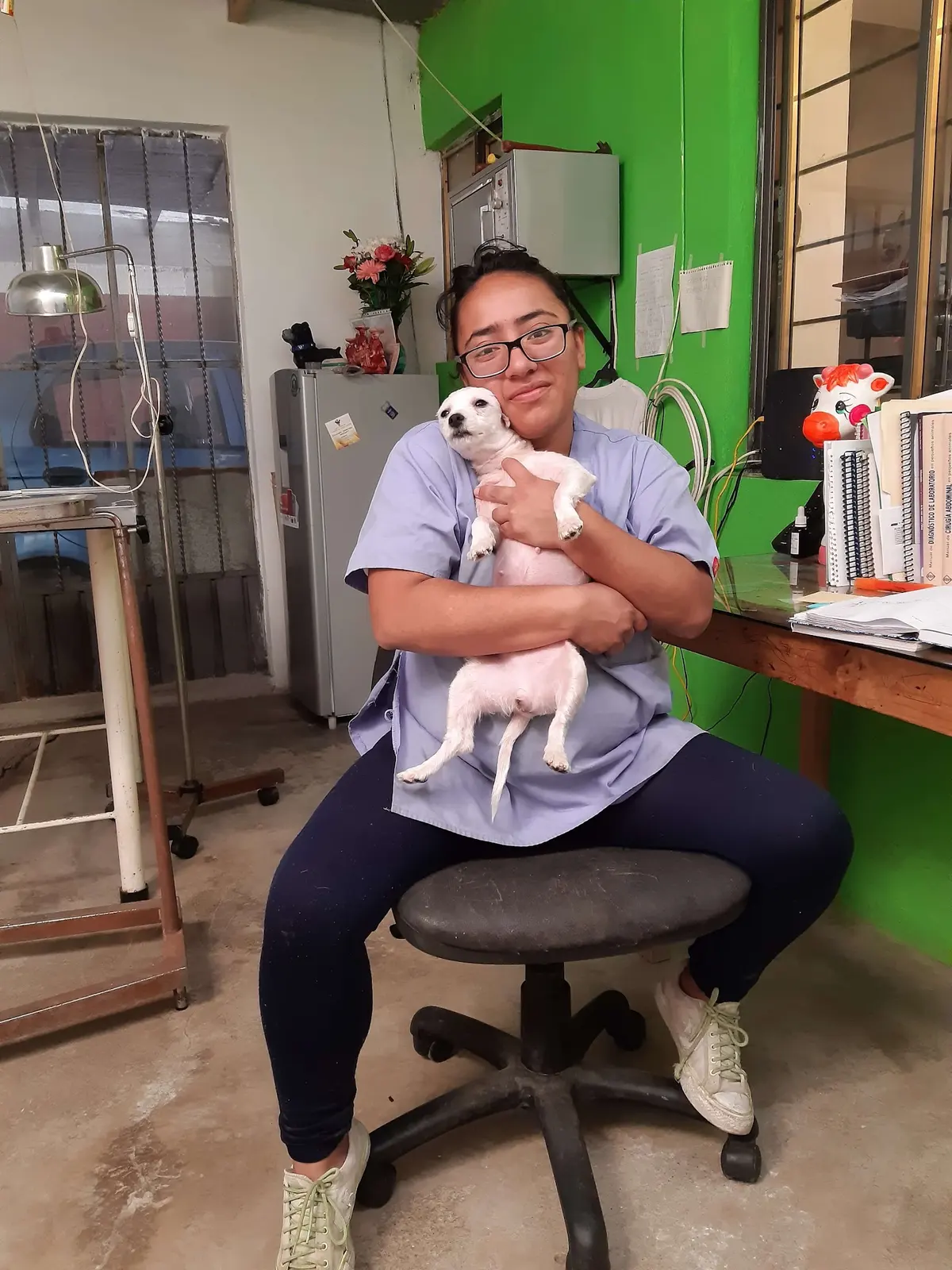 Clínica Veterinaria Juárez & Ventura — foto 3 de 3
