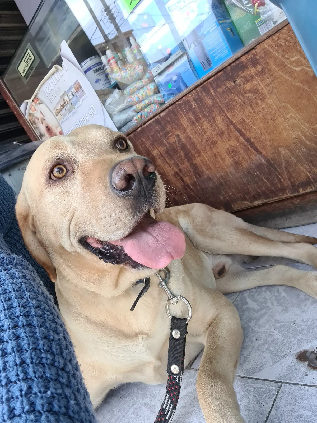 Pequitas — foto 2 de 3