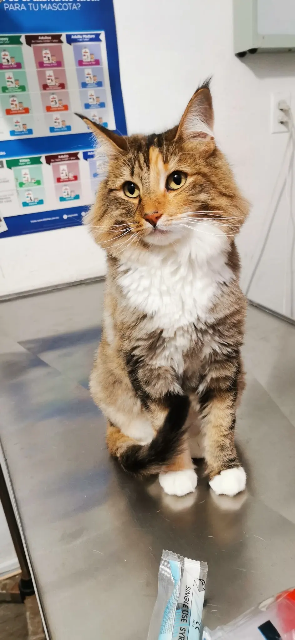 Clinica Veterinaria "Canivet"