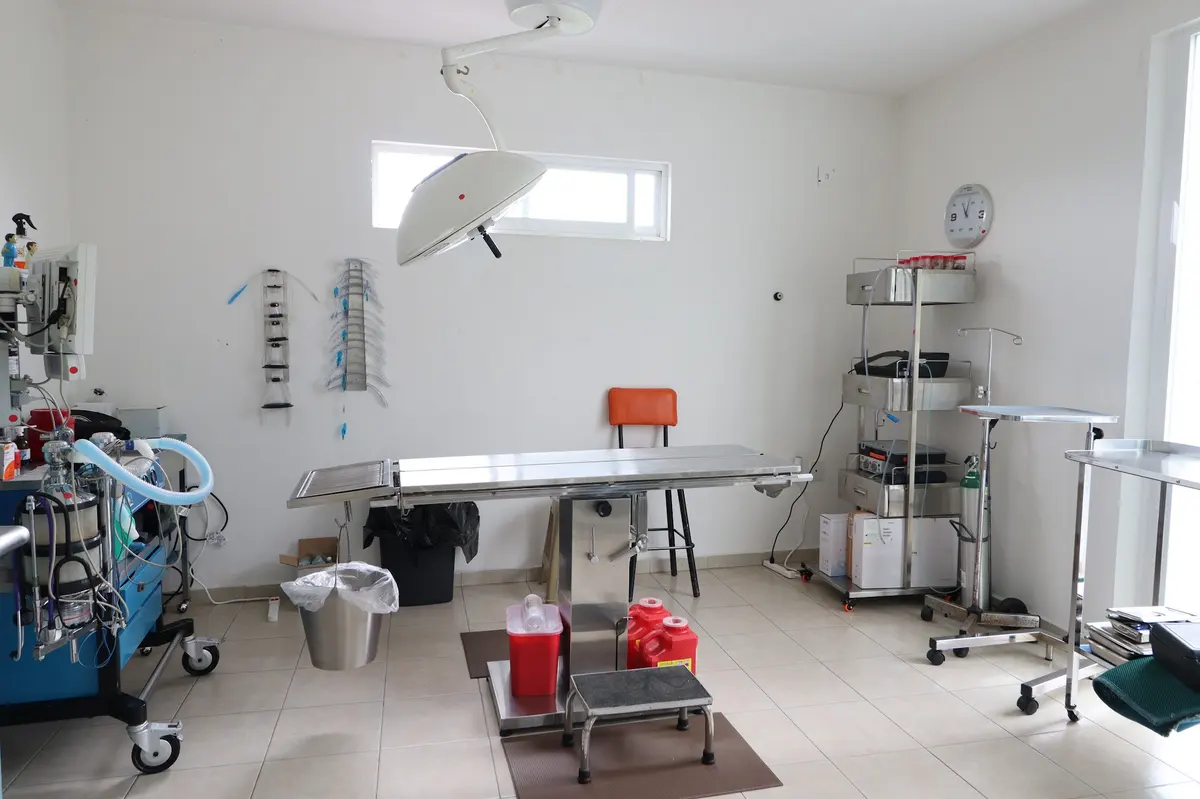 Vilvet Centro Veterinario Regenerativo