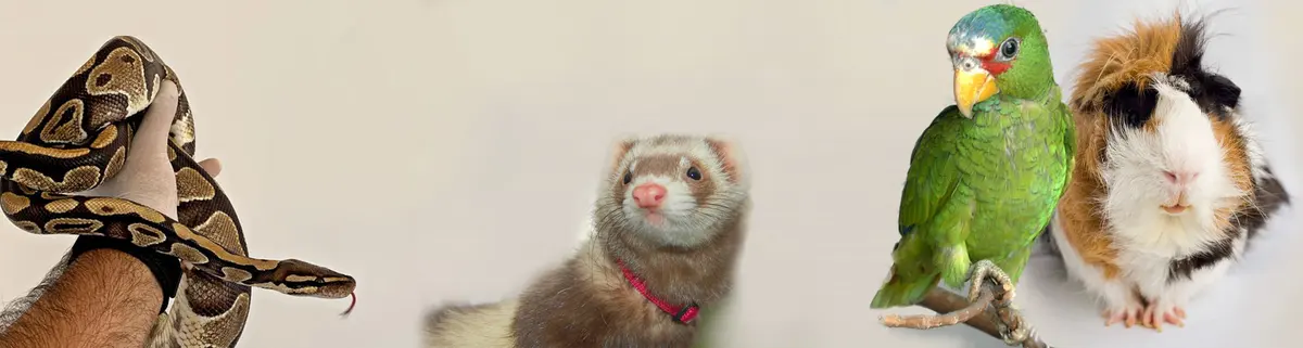 Centro Veterinario Larsen — foto 4 de 4
