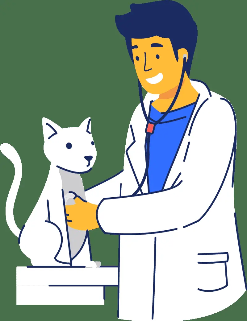 Clínica Veterinaria De Pelos — foto 4 de 4