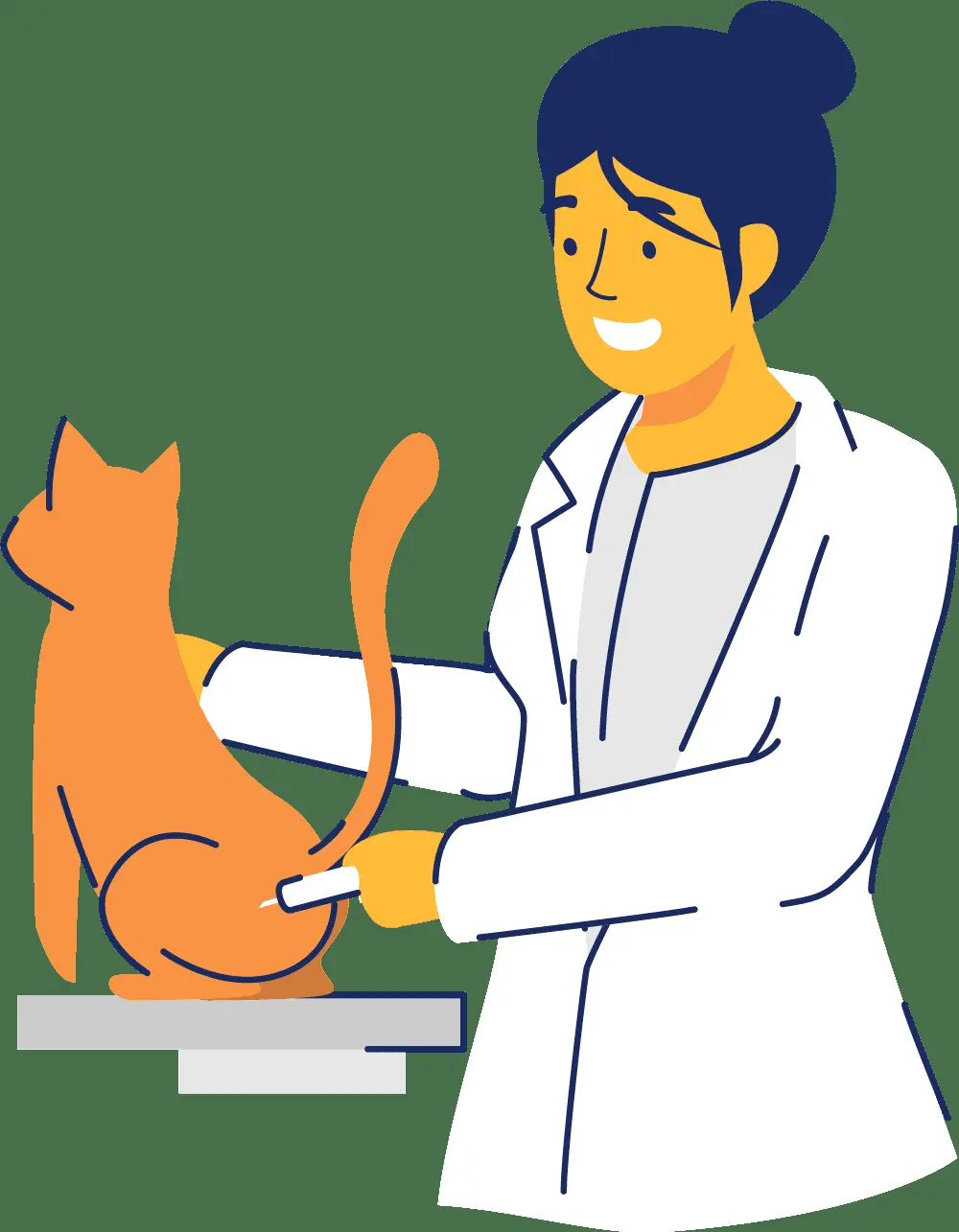 Clínica Veterinaria De Pelos — foto 3 de 4