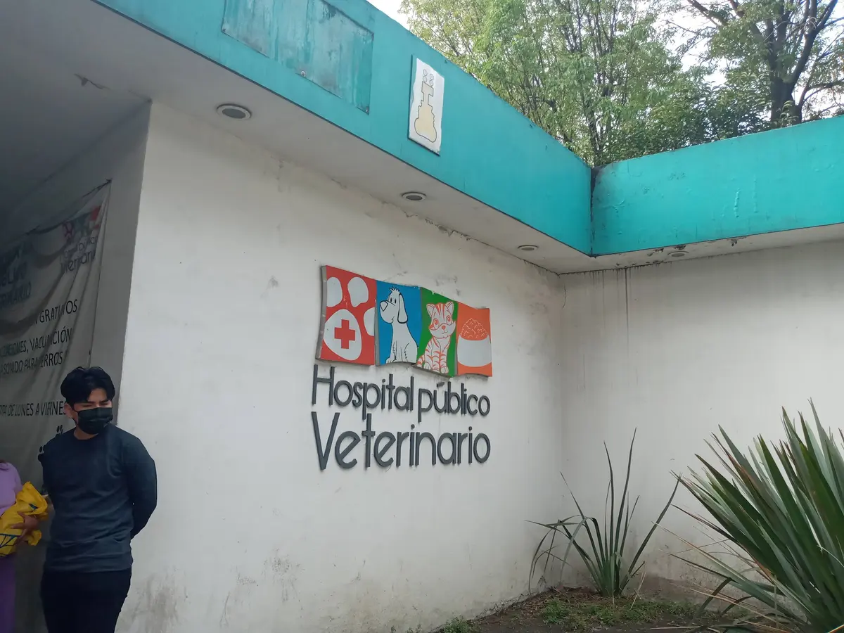 Hospital Público Veterinario — foto 2 de 3