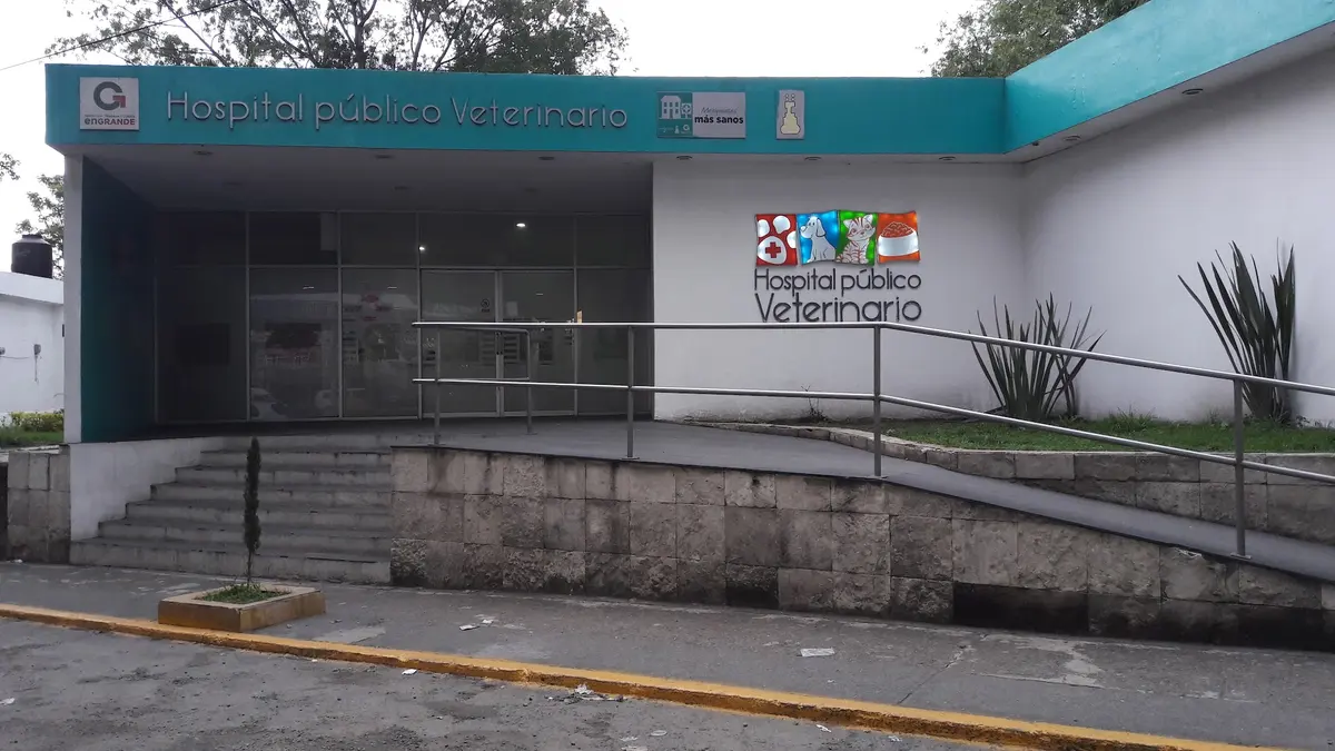 Hospital Público Veterinario