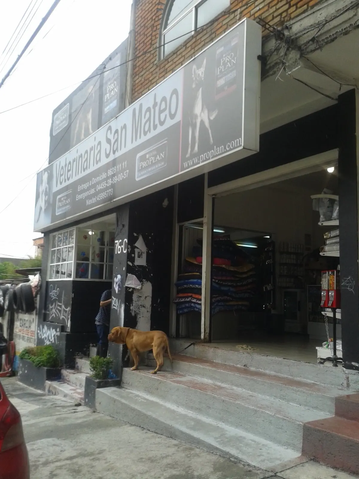 Hospital Veterinario San Mateo