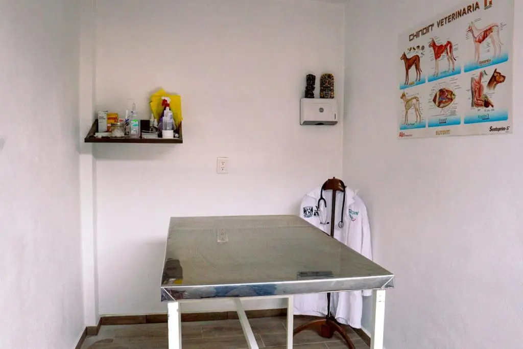 Pets&Health — foto 3 de 3
