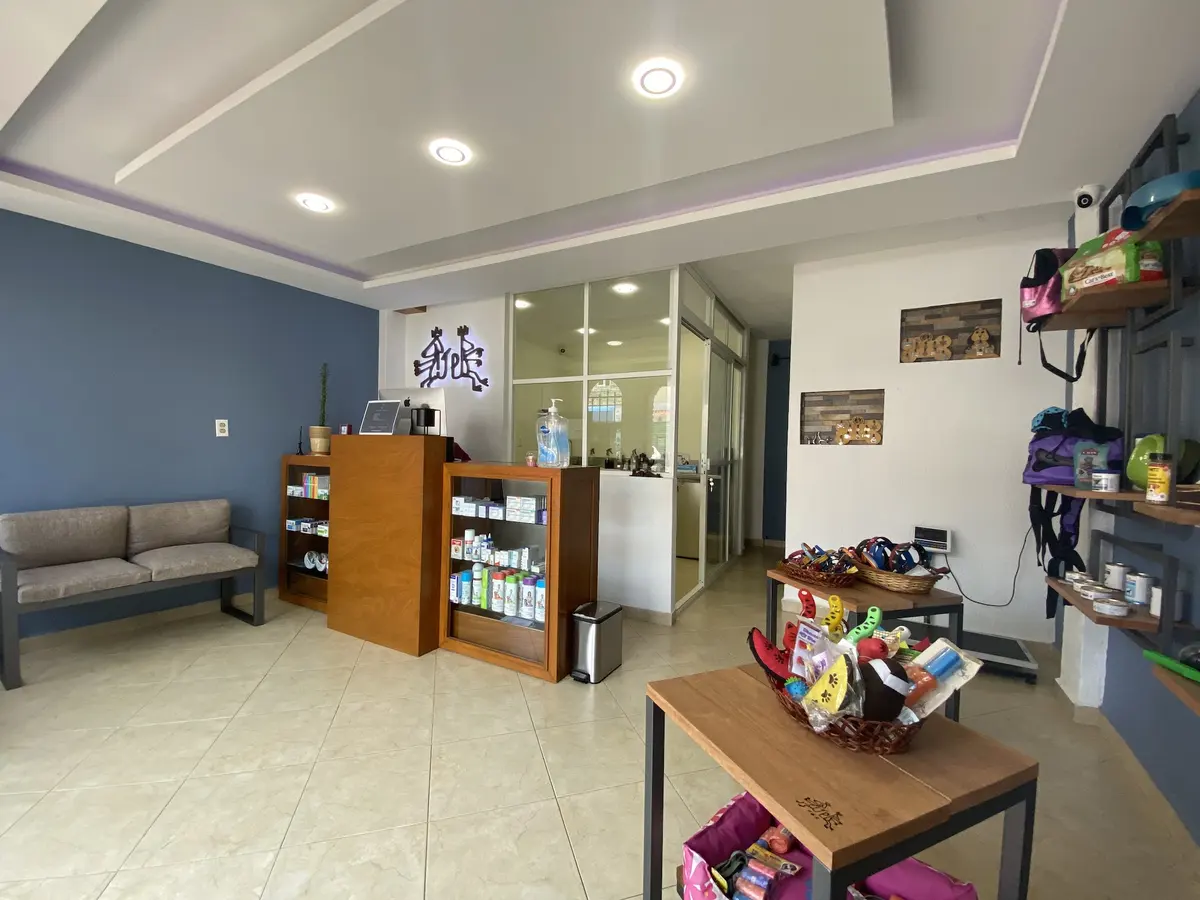 PRAXVET Centro Médico Veterinario de Especialidades