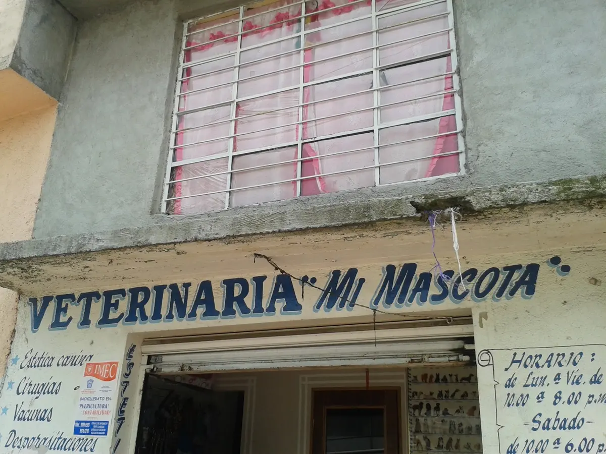 Veterinaria "Mi Mascota"