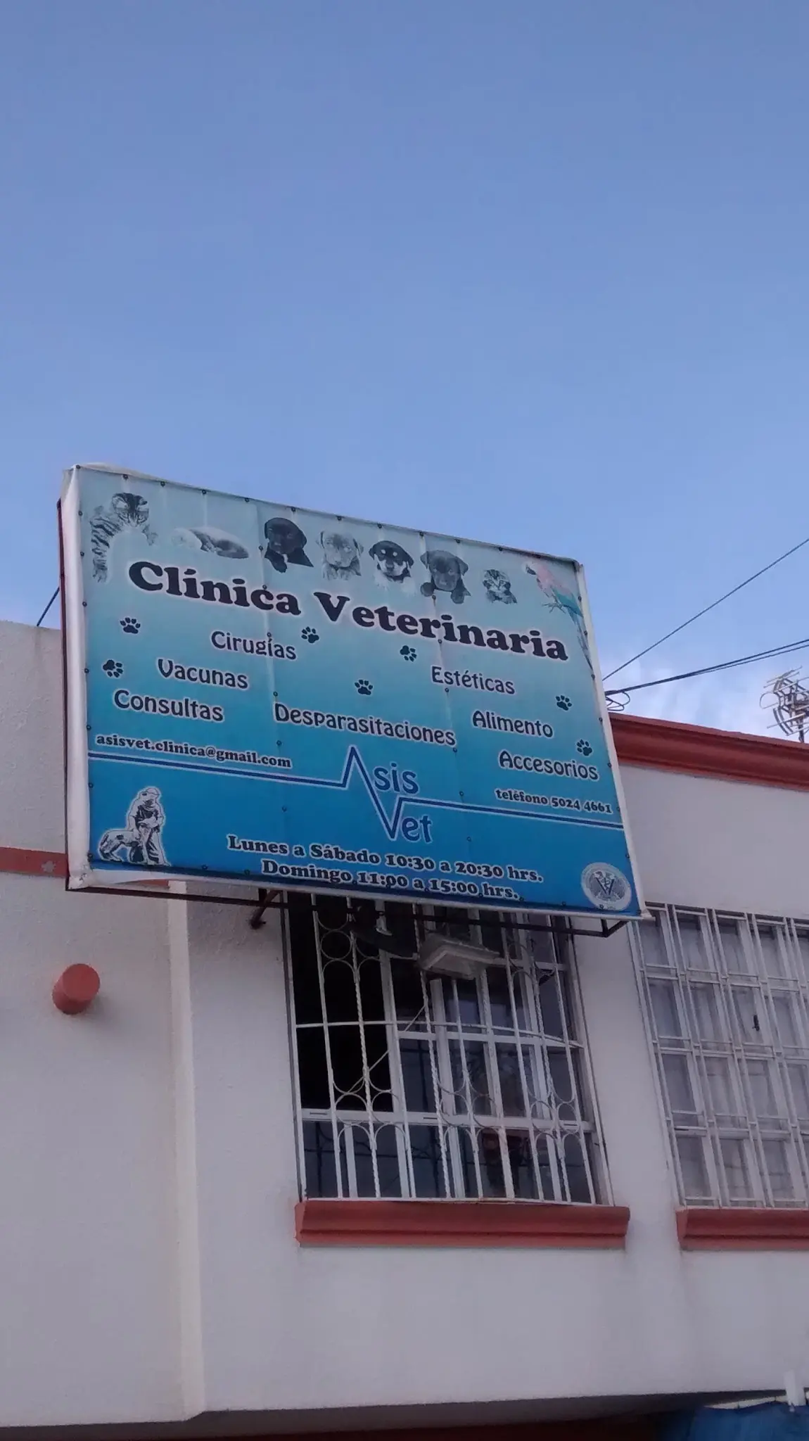 Asis Vet — foto 3 de 3