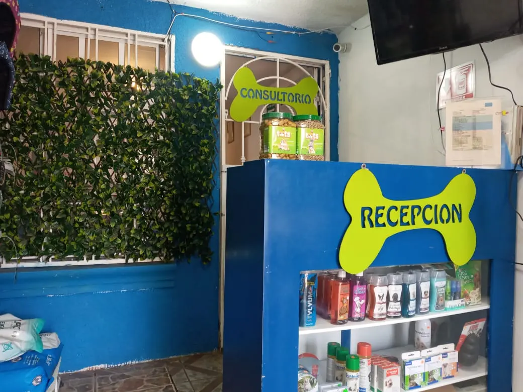 Asis Vet — foto 2 de 3