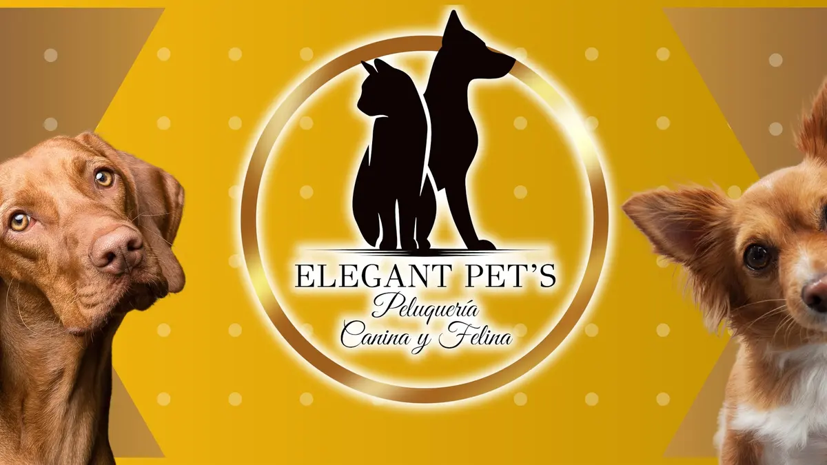 Elegant Pet's Peluquería Canina y Felina 🐩🐈🐕🐈‍⬛