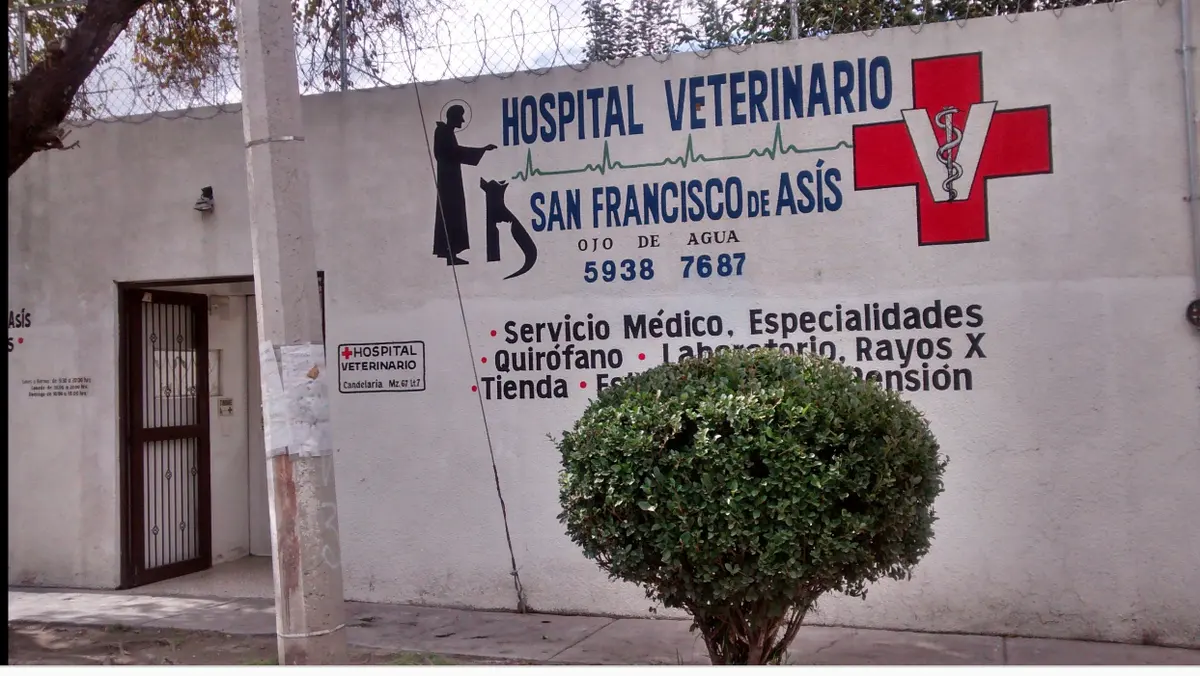Hospital Veterinario San Francisco de Asis