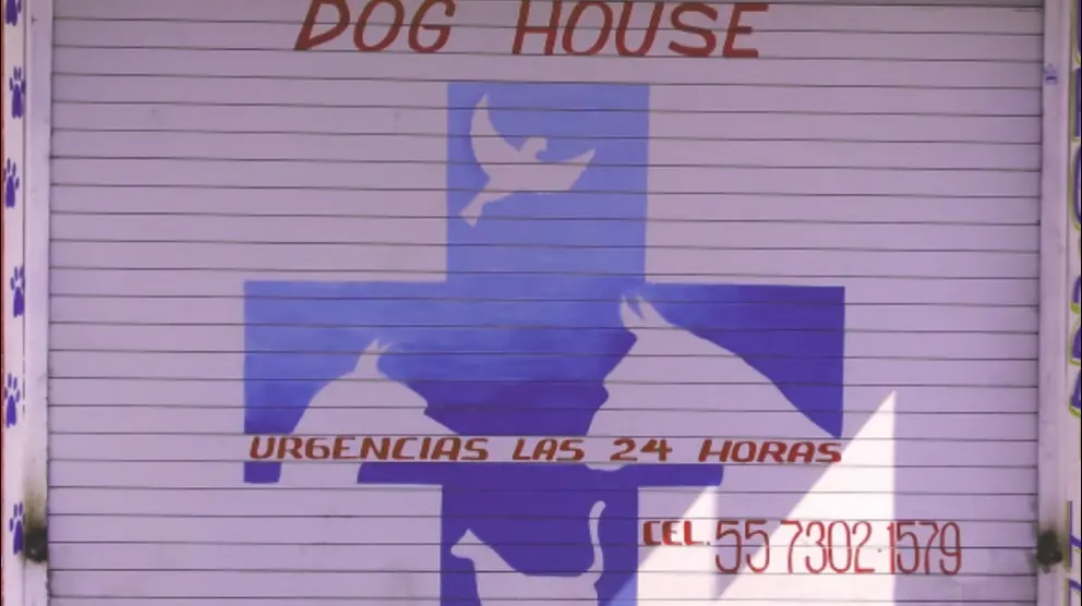 Veterinaria Dog House