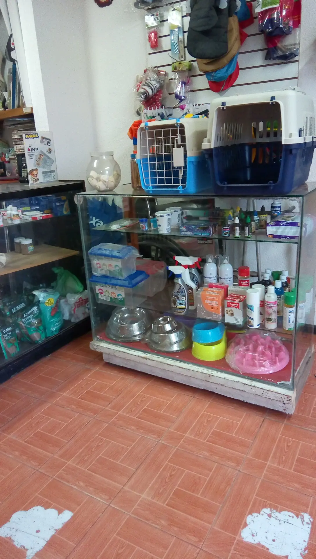 Veterinaria ROY