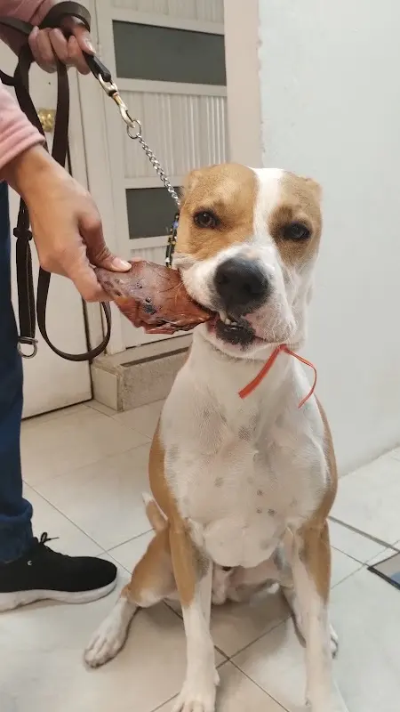 ANIMAL CARE CENTER