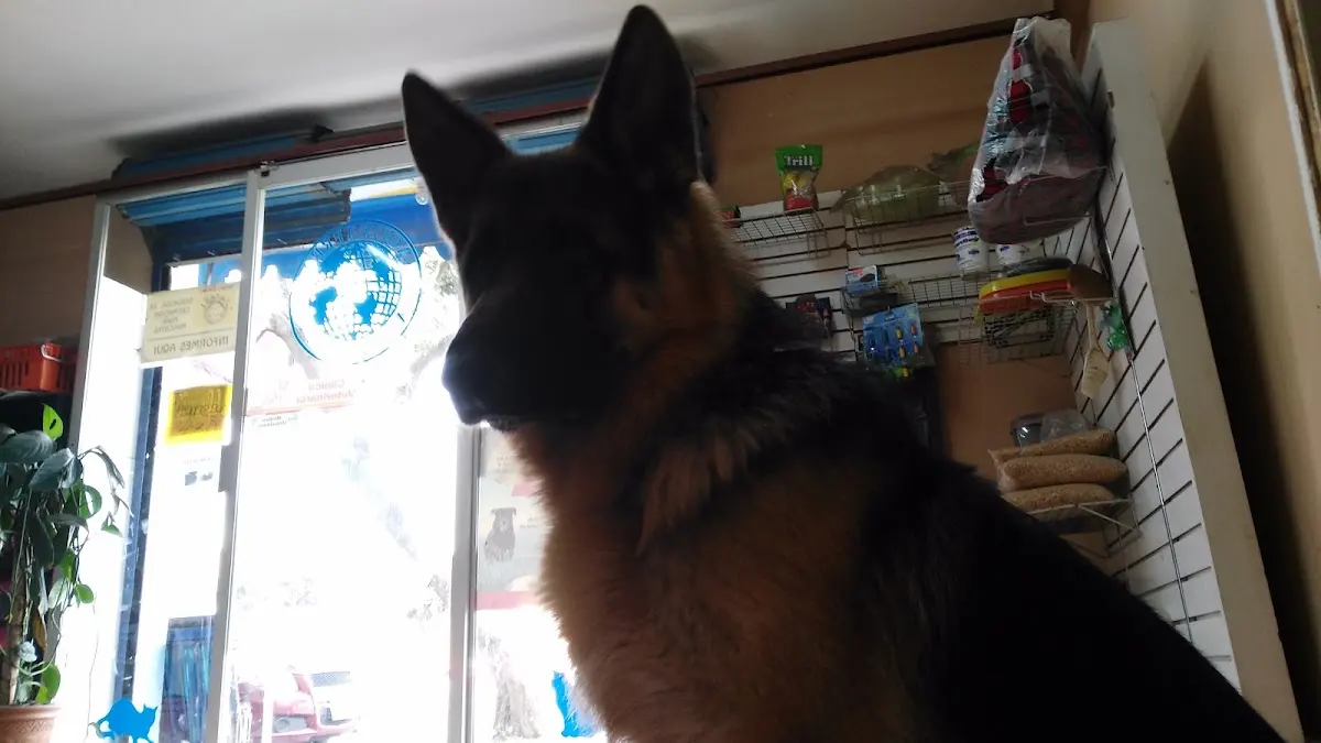Veterinaria AQUA- TERRA