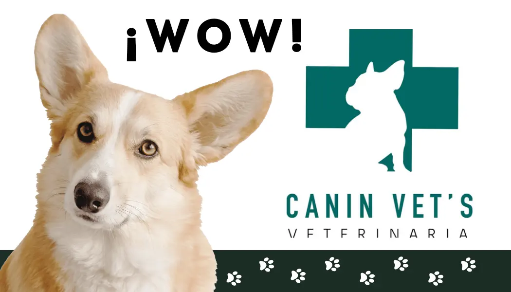 Canin vet's