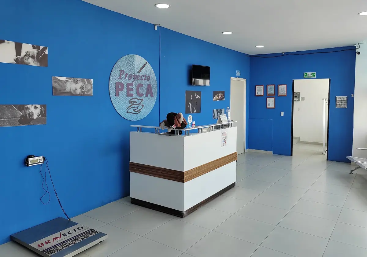 Clinica de esterilización proyecto PECA