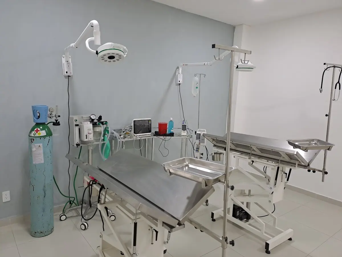 Clinica de esterilización proyecto PECA — foto 2 de 3