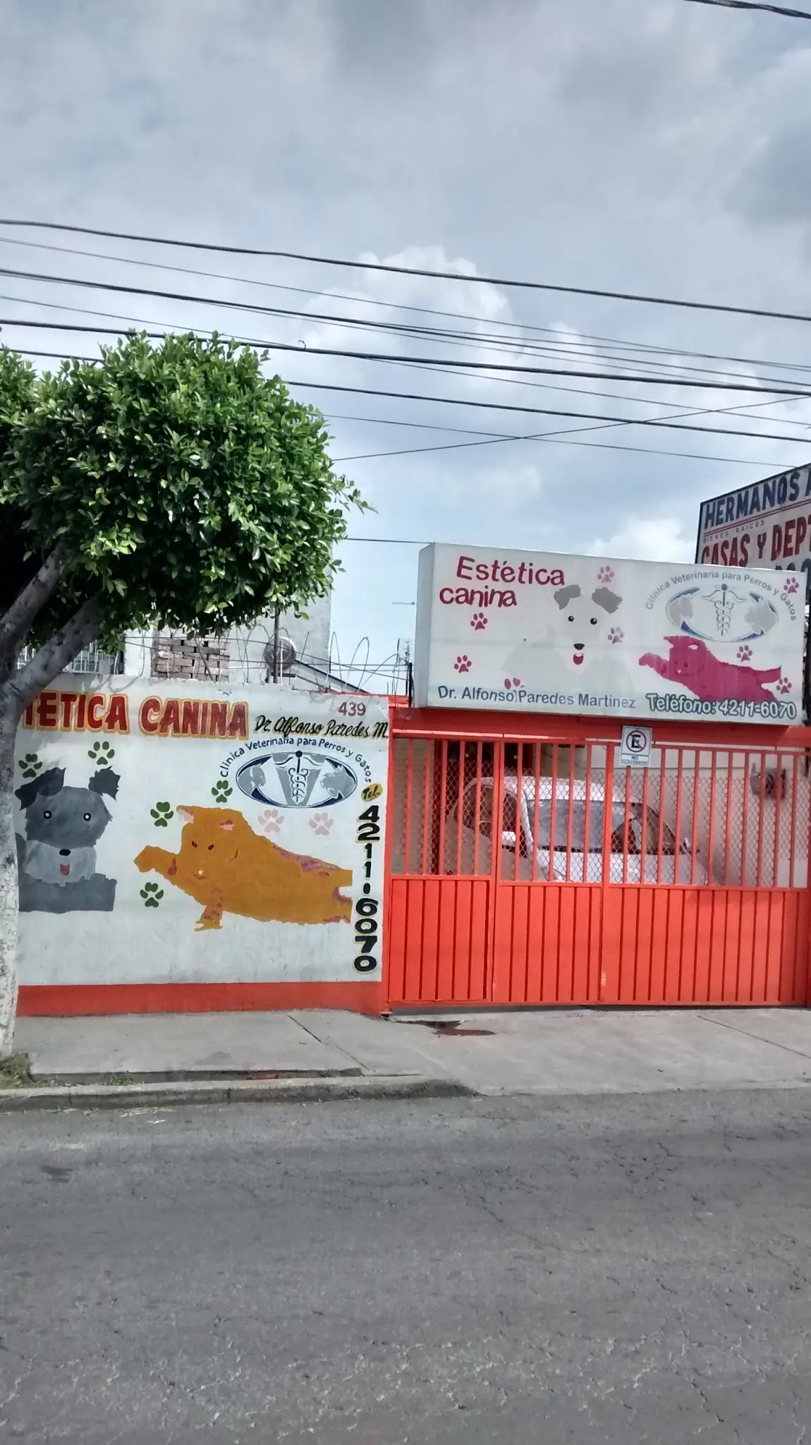 Consultorio veterinario Gama — foto 3 de 3