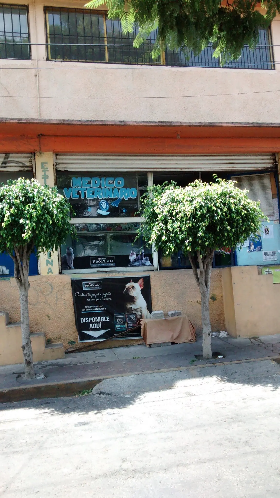 Medico Veterinario Cam Vet