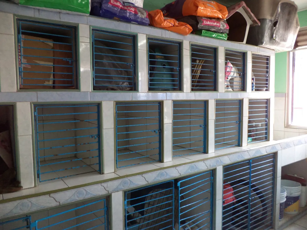 Veterinaria "Coacalco" — foto 2 de 3