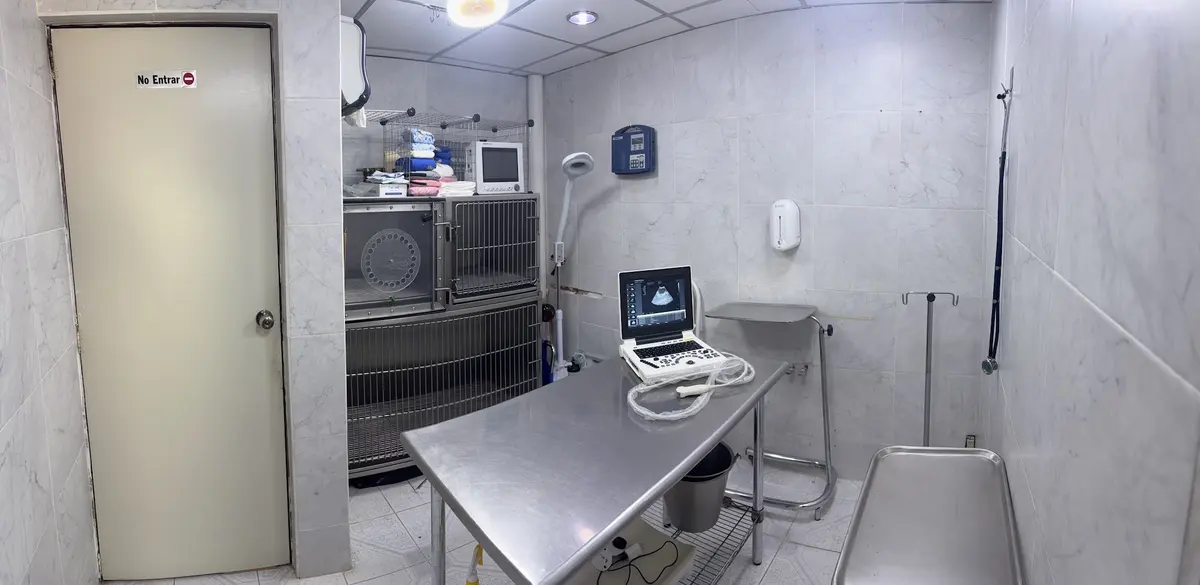 Veterinaría Guau