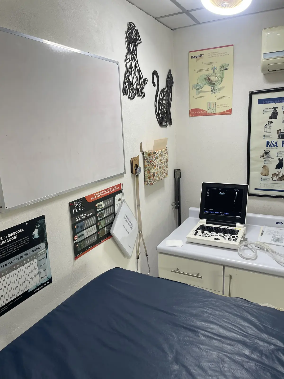 Veterinaría Guau — foto 2 de 3