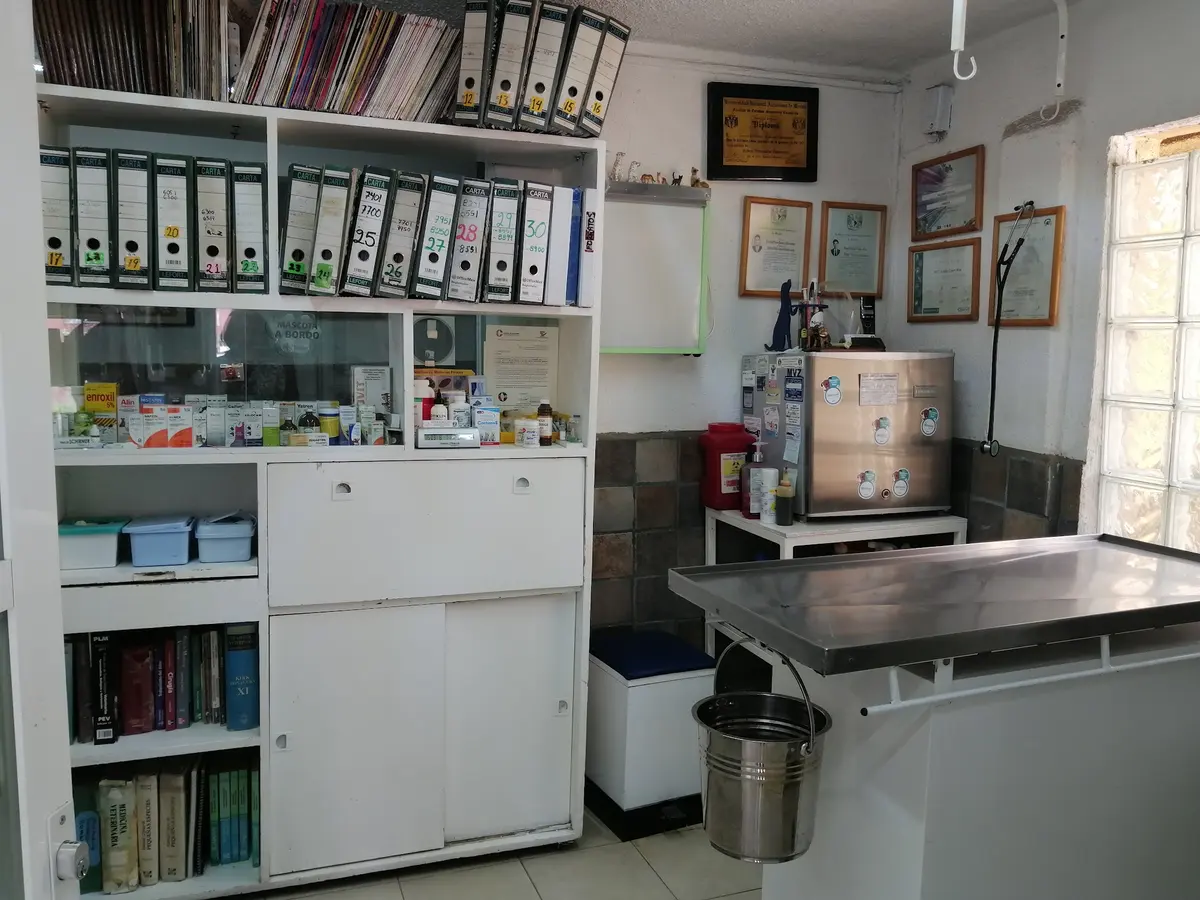 Veterinaría IQUI — foto 3 de 3